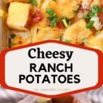 easy cheesy ranch potatoes