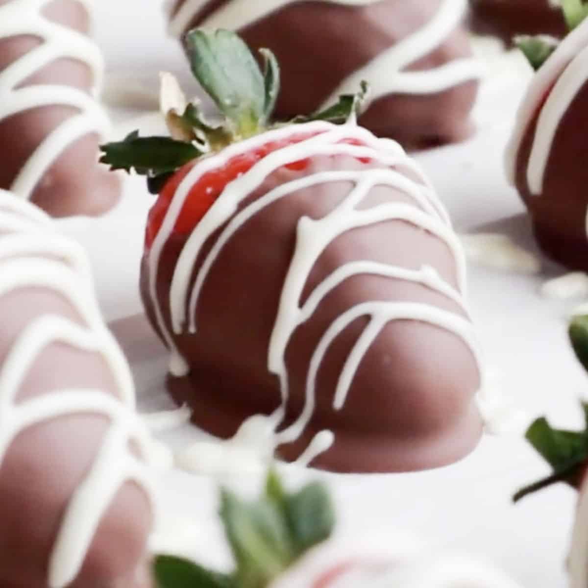 chocolate dipped strawberries on a white serving tray, best chocolate covered strawberries recipe. chocolate dip for strawberries.