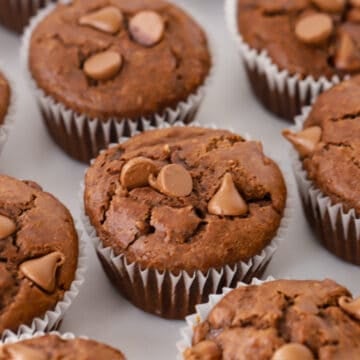 chocolate chip chocolate muffins