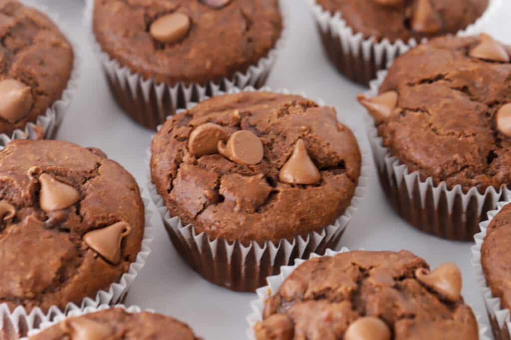 recipe for chocolate muffins with chocolate chips