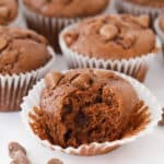 chocolate chip chocolate muffins