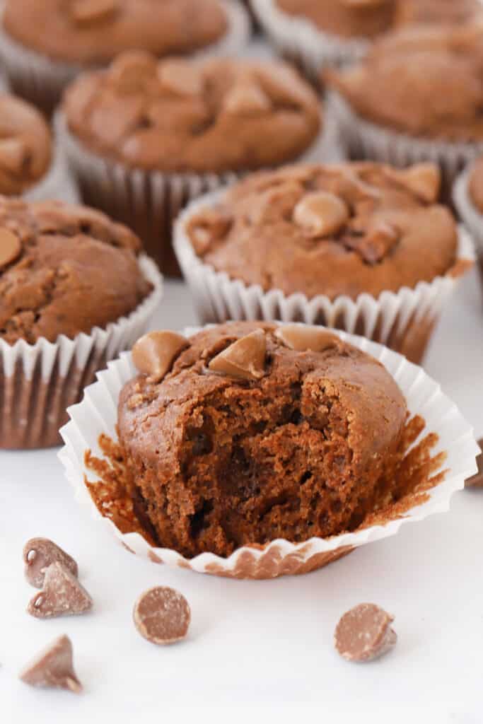 Double chocolate muffins. Double chocolate chip muffin recipe.