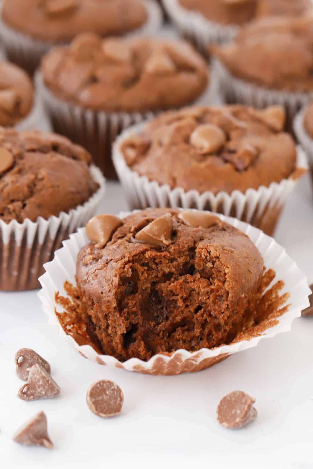 chocolate chip chocolate muffins