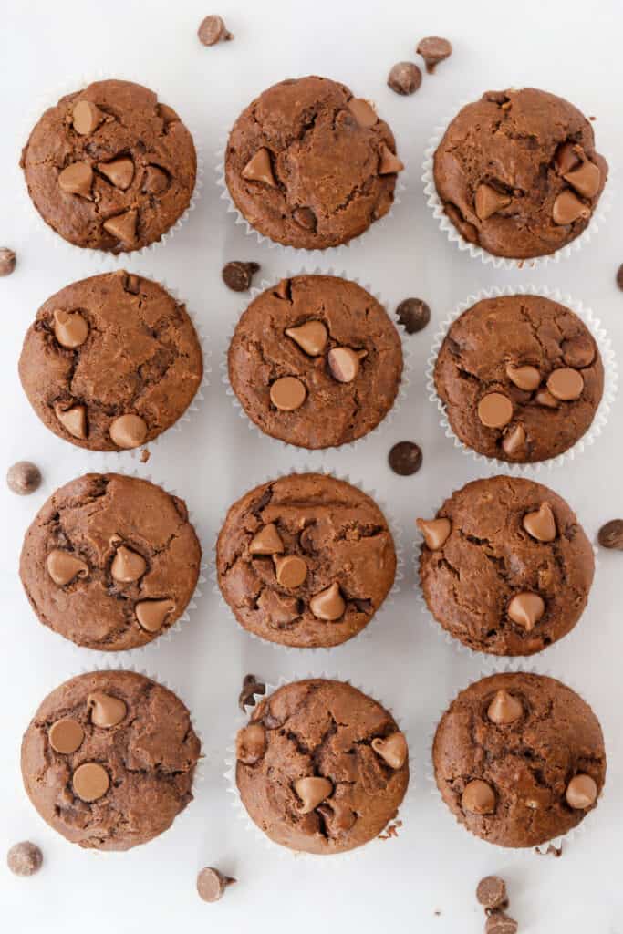 chocolate muffins for breakfast recipe