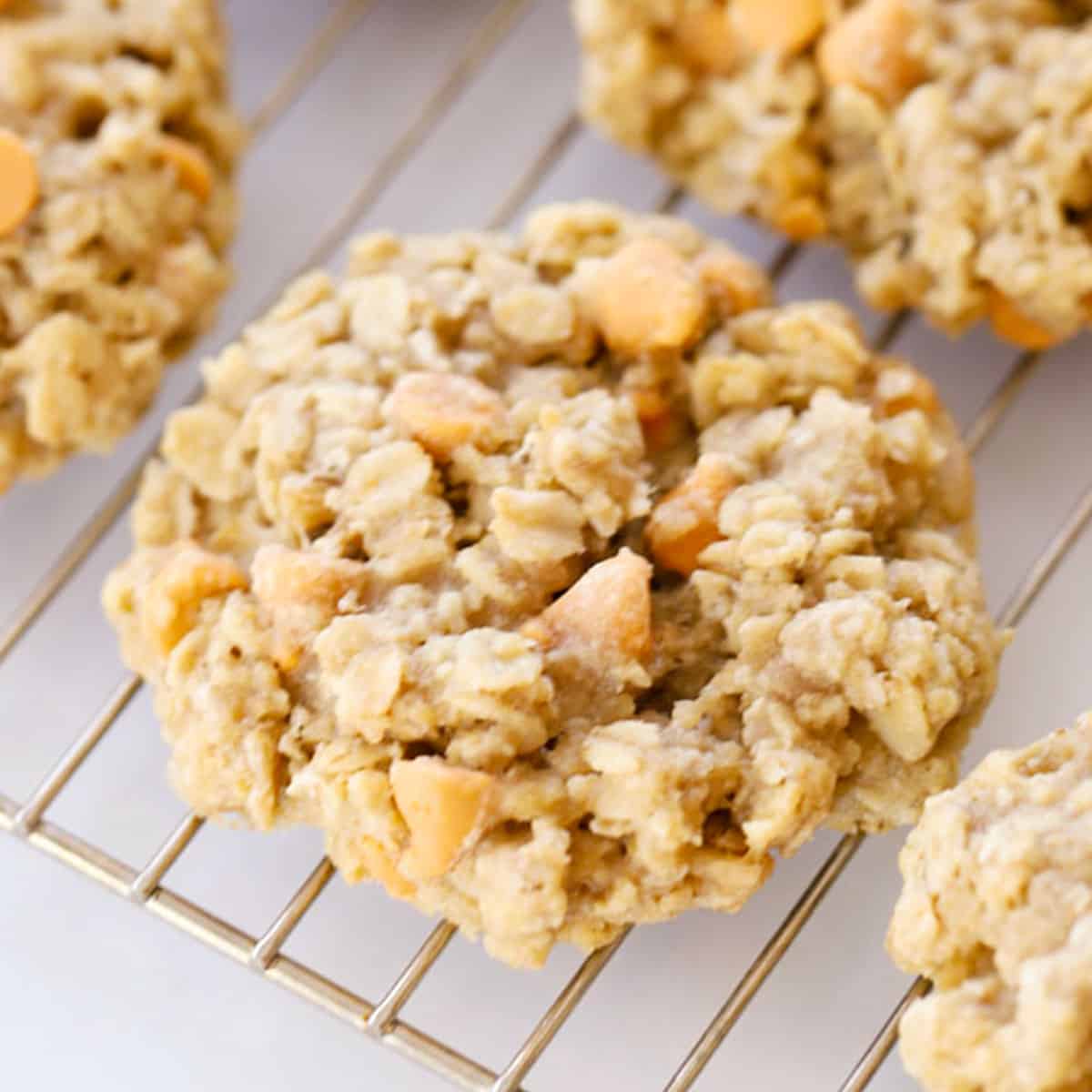 oatmeal butterscotch cookie recipe