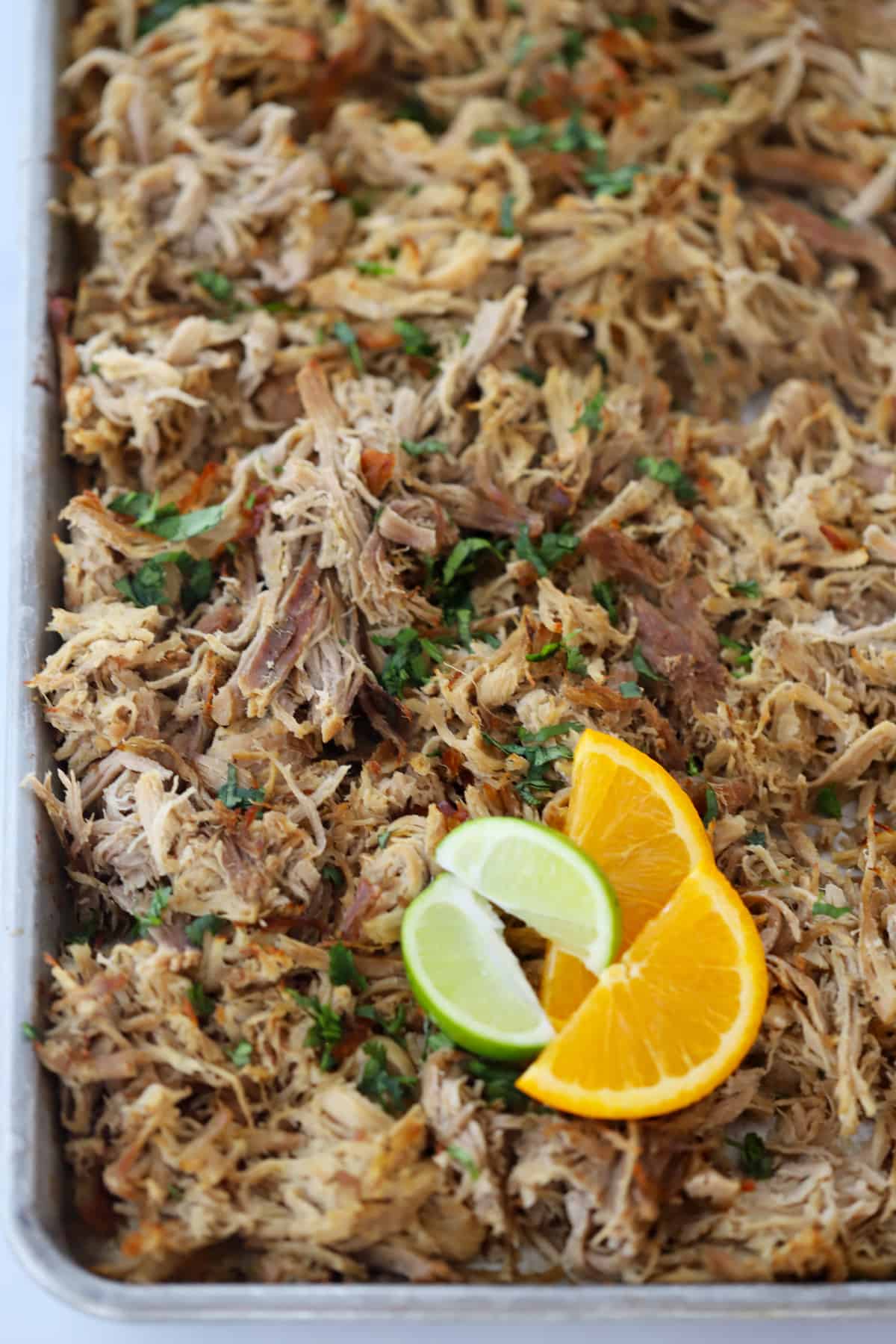 Carnitas spread out on a sheet tray, garnished with fresh cilantro, fresh limes and fresh oranges.