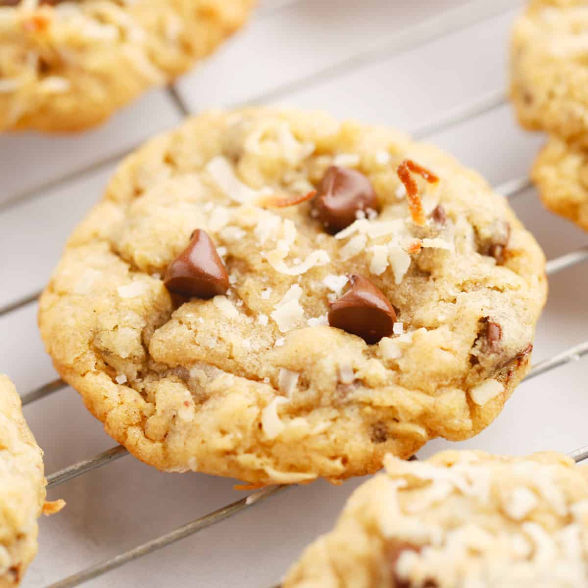cowboy cookies with coconut and chocolate chips