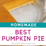 best pumpkin pie recipe from scratch