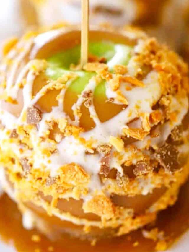Homemade Caramel Apple Easy Gourmet Caramel Apples Story The Carefree Kitchen