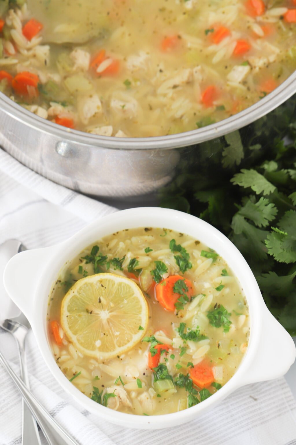 Lemon Chicken Orzo Soup Recipe - The Carefree Kitchen