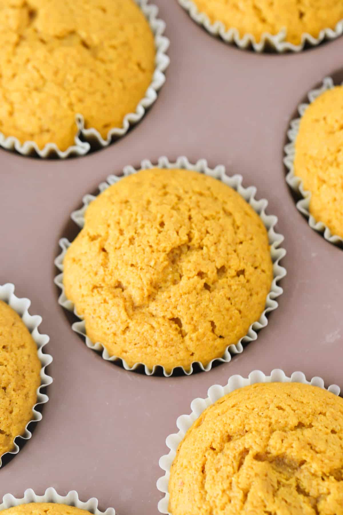 Pumpkin Pie Cupcakes The Carefree Kitchen