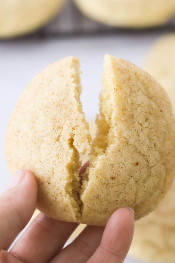 A hand holding a snickerdoodle cookie.