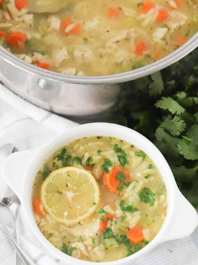 Lemon Chicken Orzo Soup Story