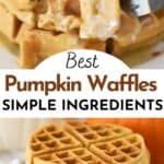 homemade pumpkin waffle recipe