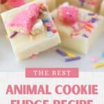 How to make the best Animal Cookie Fudge at home