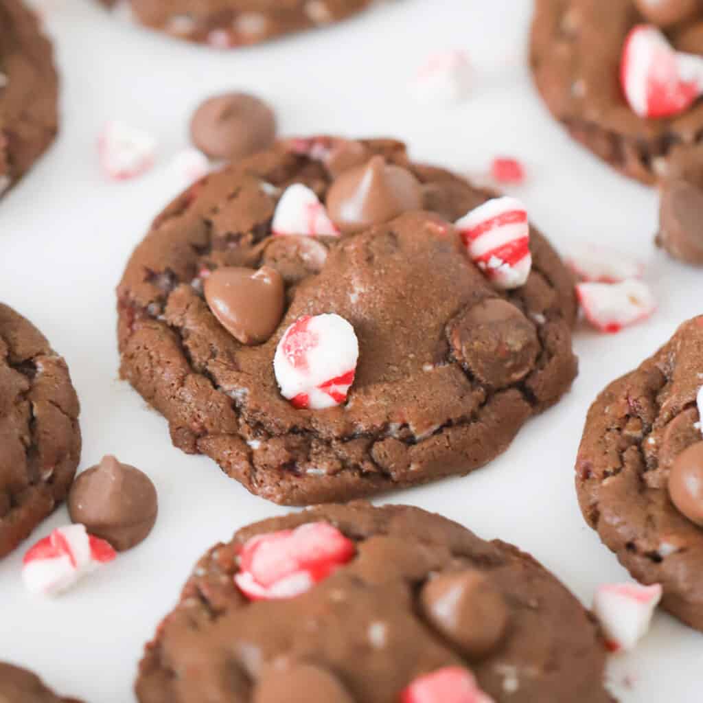 chocolate candy cane cookie recipe