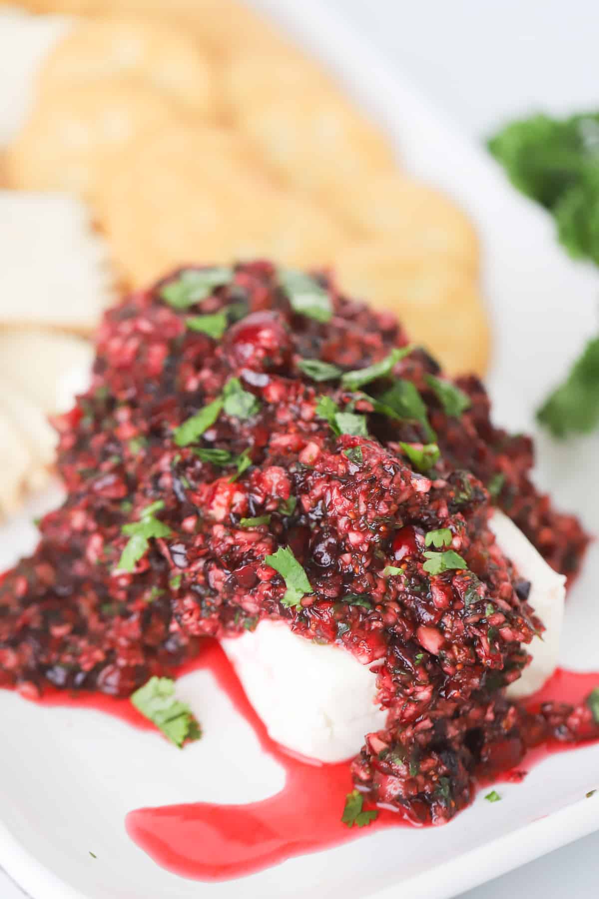 image for cranberry salsa