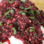 cranberry salsa recipe