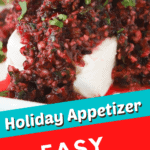 best appetizer, cranberry salsa recipe
