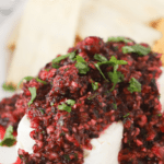 easy cranberry salsa recipe, holiday recipe