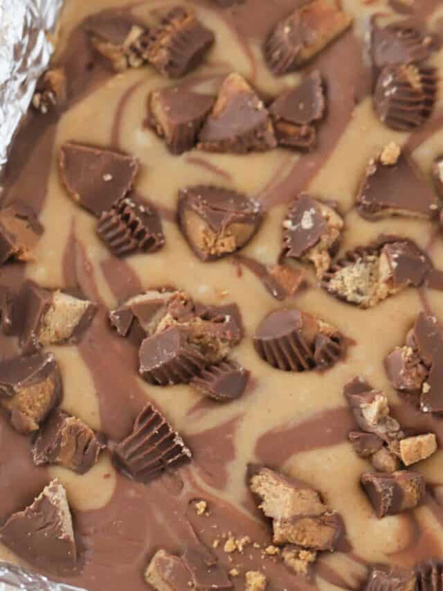 Reeses Peanut Butter Fudge Story