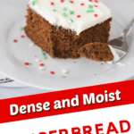 moist gingerbread cake recipe