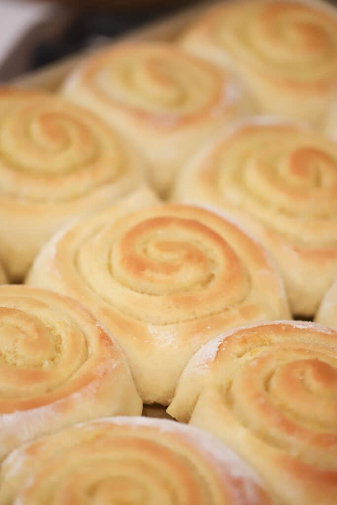 A pan of sweet rolls that has just been baked but has not yet been covered in frosting.
