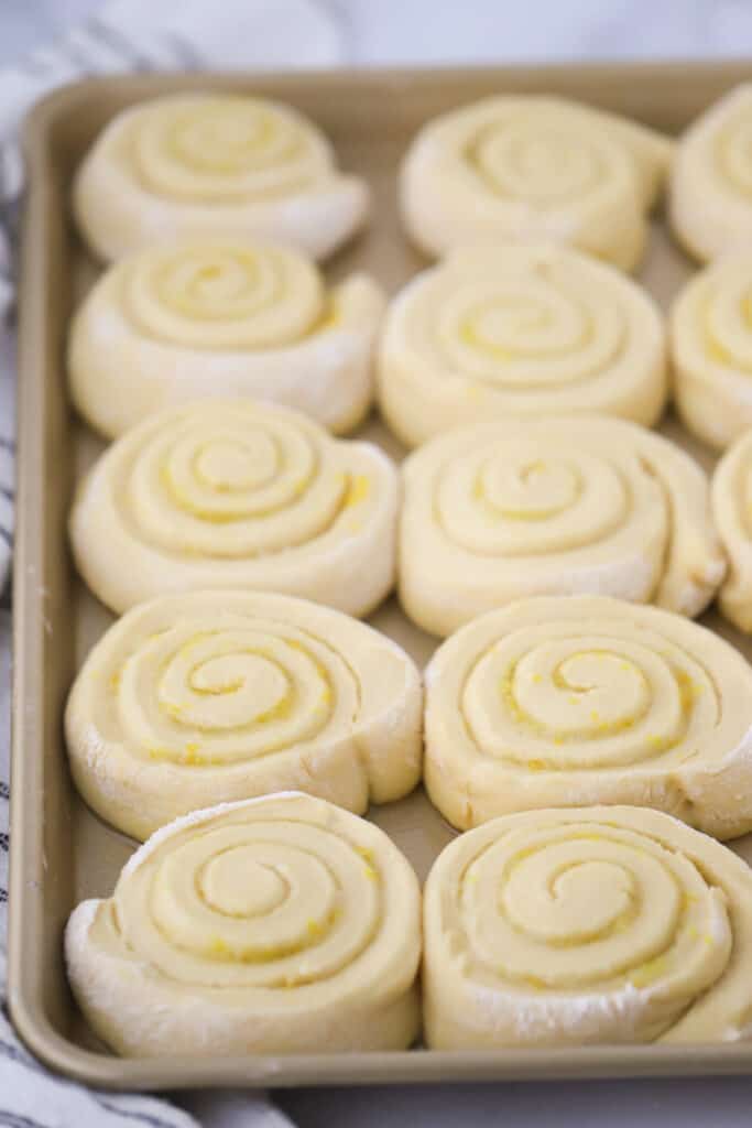 A baking pan with sweet rolls ready to bake in the oven. cinnamon roll recipe, cinnamon roll recipe. lemon rolls with lemon icing recipe. 