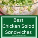 chicken salad sandwiches