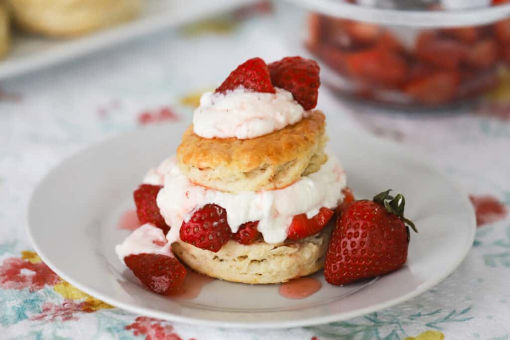 A white plate with a serving of Strawberry Shortcake topped with extra whipped cream and strawberries.