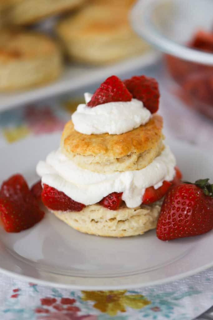 A white plate with Strawberry Shortcake, topped with extra whipped cream and strawberries.