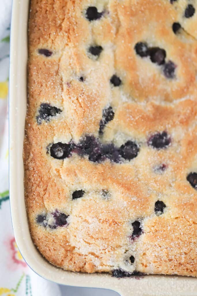 A baking dish with a blueberry cake baked into it and topped with a sugar crust.