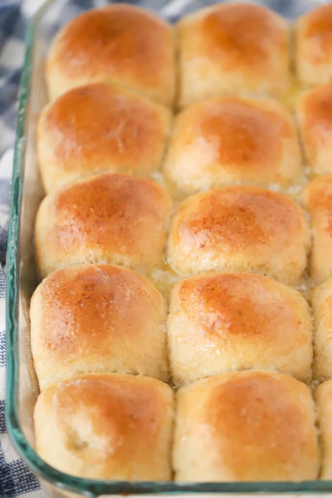 A baking dish full of freshly baked Whole Wheat Dinner Rolls.