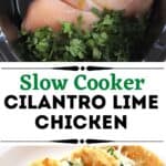crock pot cilantro lime chicken