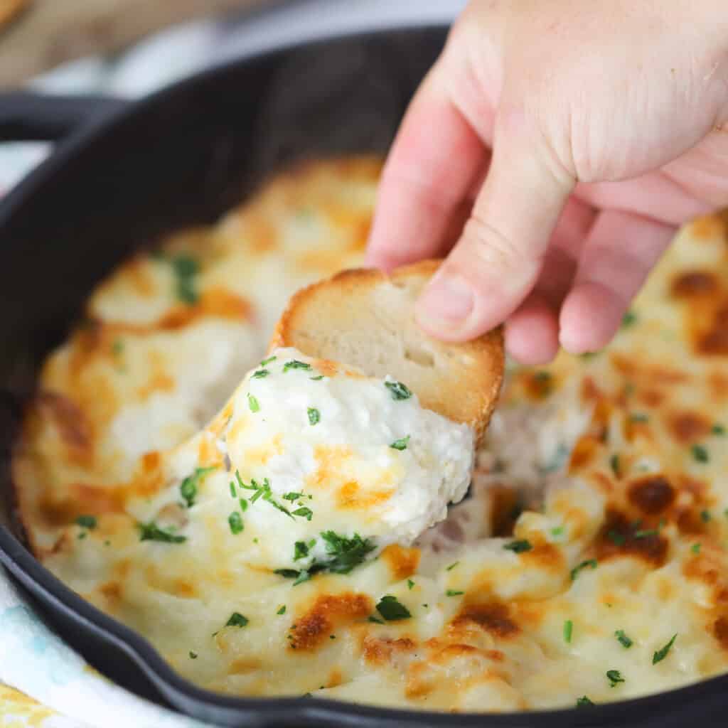 cheesy chicken alfredo dip recipe