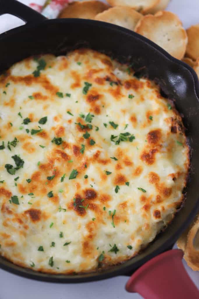 A cast iron pan full of baked Chicken Alfredo Dip, topped with shredded parsley.