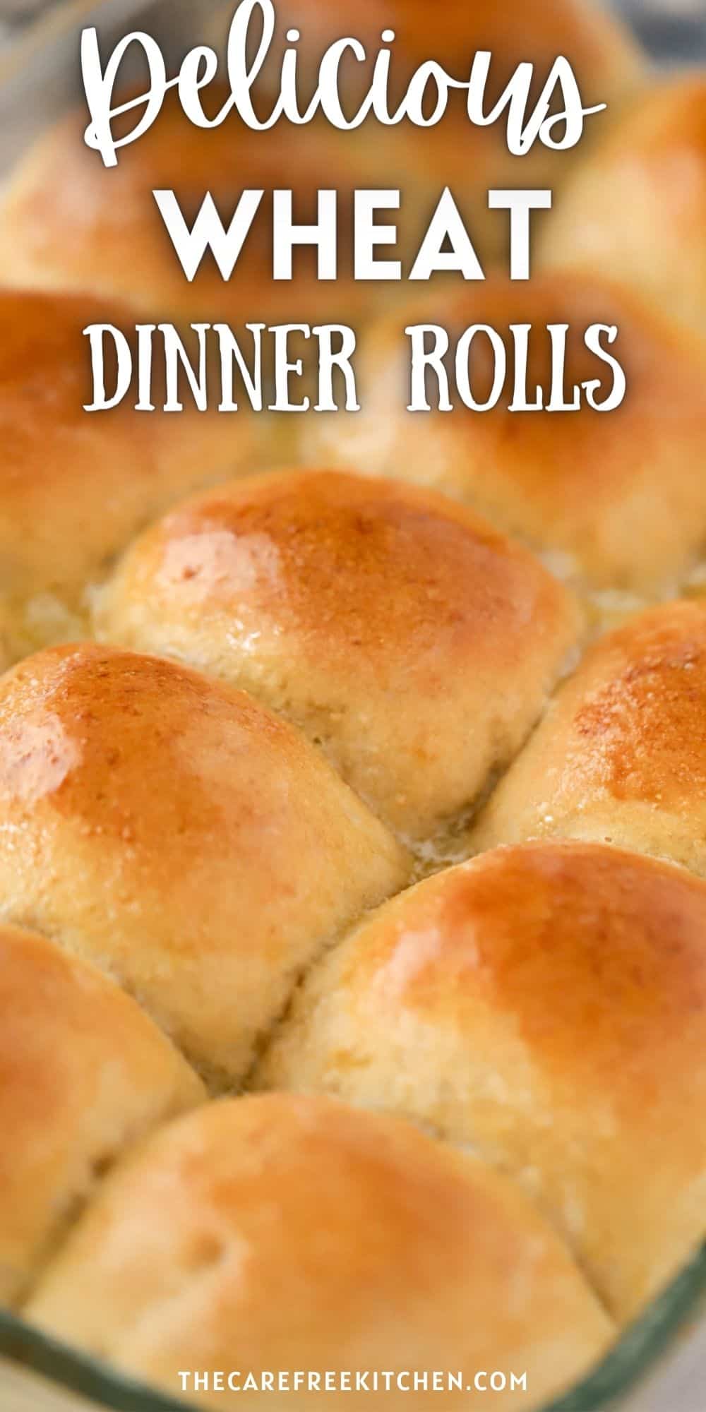 Whole Wheat Dinner Rolls - The Carefree Kitchen