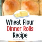 whole wheat dinner rolls for family dinner.