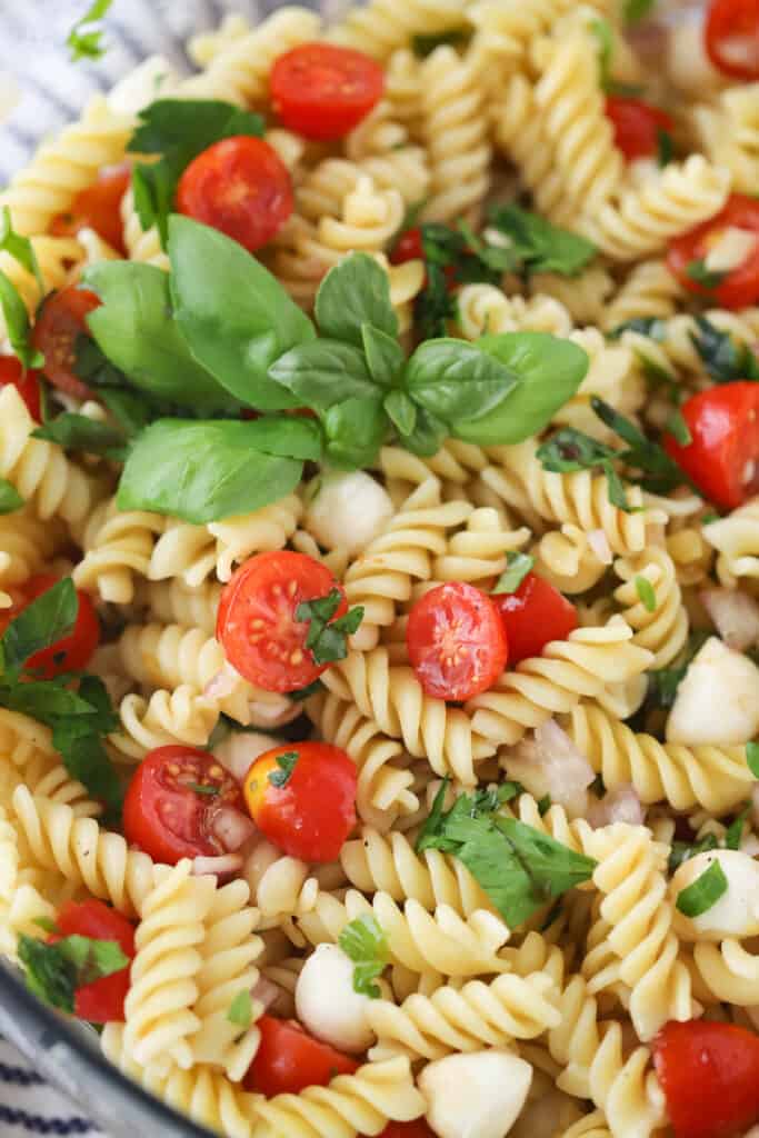 A close up of Caprese Pasta salad, topped with fresh basil and tomatoes.