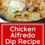 homemade chicken alfredo sauce dip recipe, easy appetizer