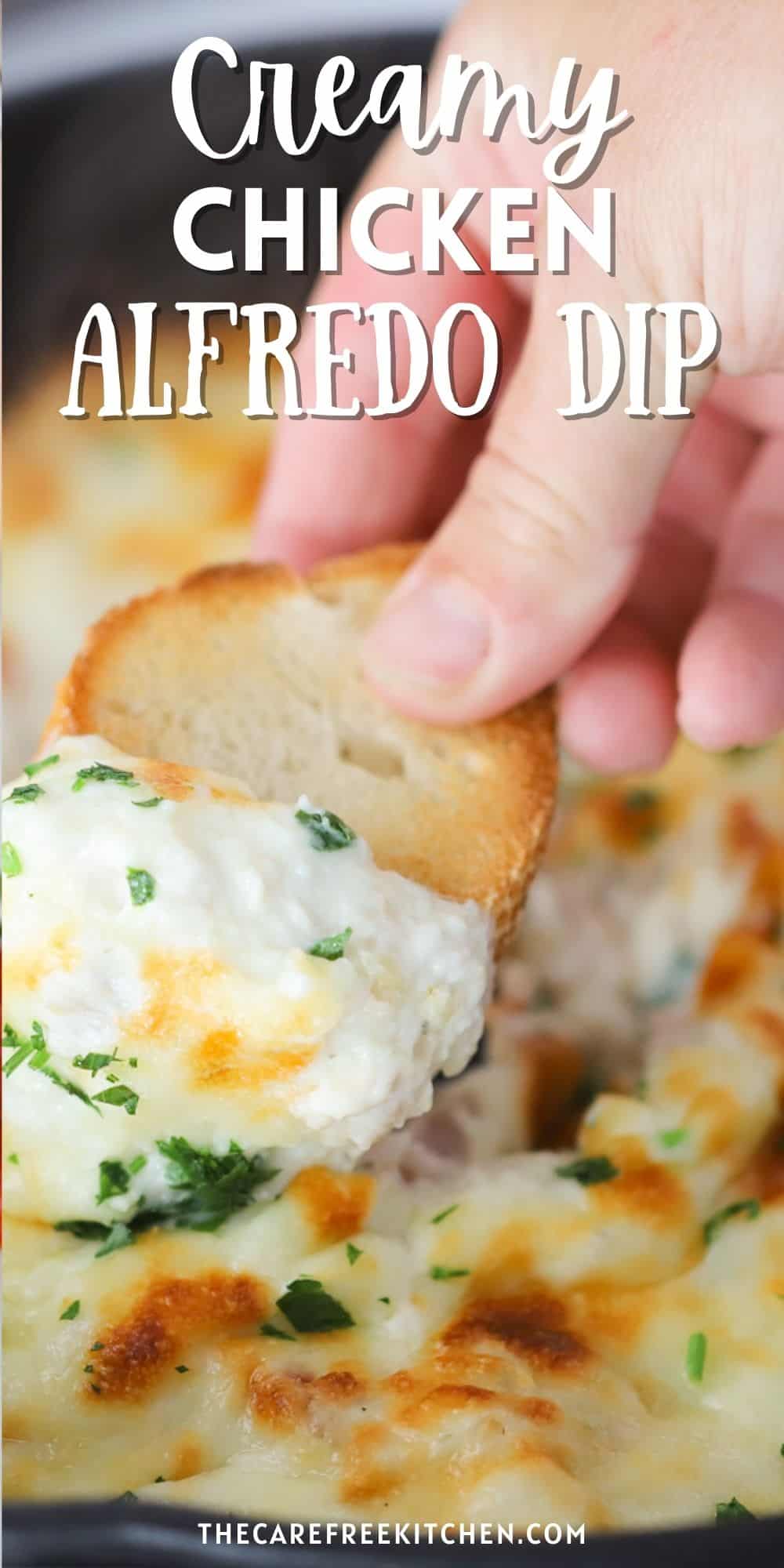 Chicken Alfredo Dip The Carefree Kitchen