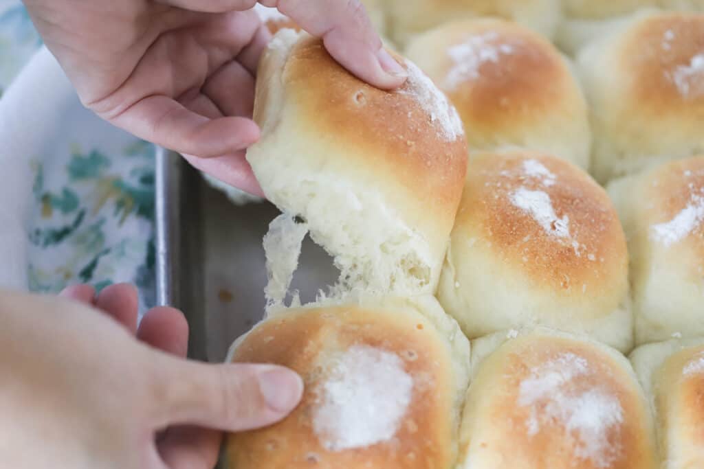 Hands pulling apart a Potato Roll from a baking sheet. This old fashioned yeast rolls recipe is easy to make at home.