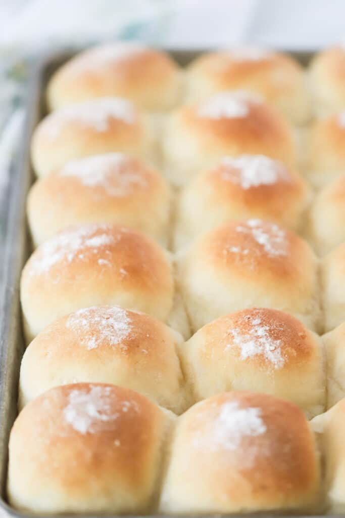 A baking sheet full of fresh dinner rolls. recipe for potato rolls, potato rolls recipe.