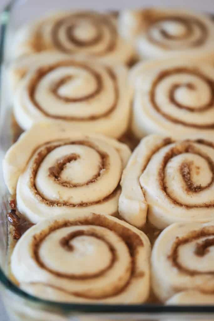 A baking pan full of rolled cinnamon rolls on top of sticky bun mixture ready to bake.