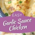 chicken in a creamy garlic sauce