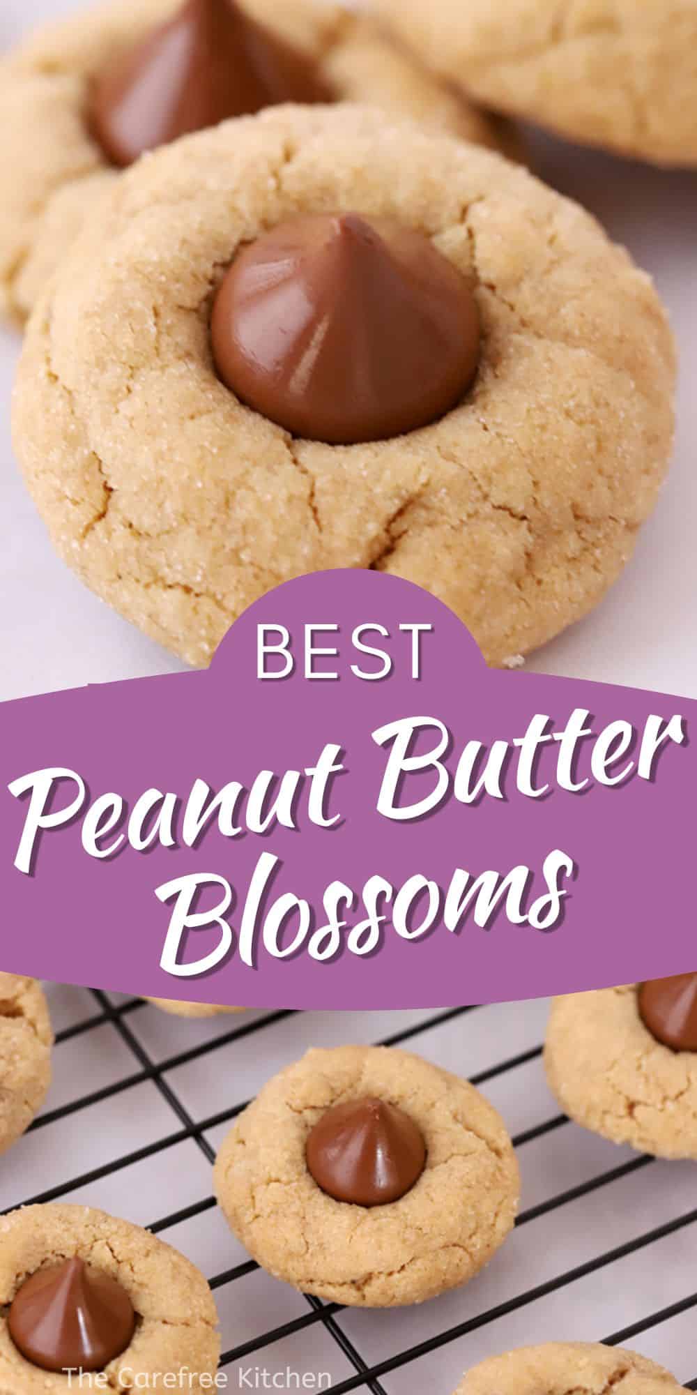 Peanut Butter Kiss Cookie Recipe - The Carefree Kitchen