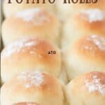 potato rolls recipe