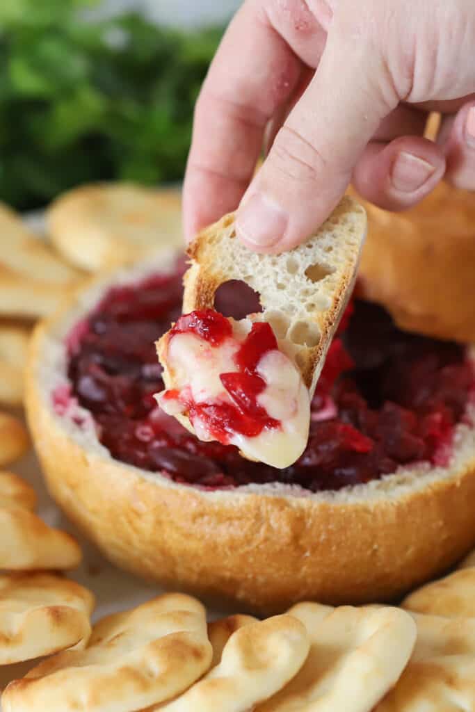 A hand holding a piece of bread dipped in Baked Cranberry Brie. brie with cranberries, baked brie cranberry. 