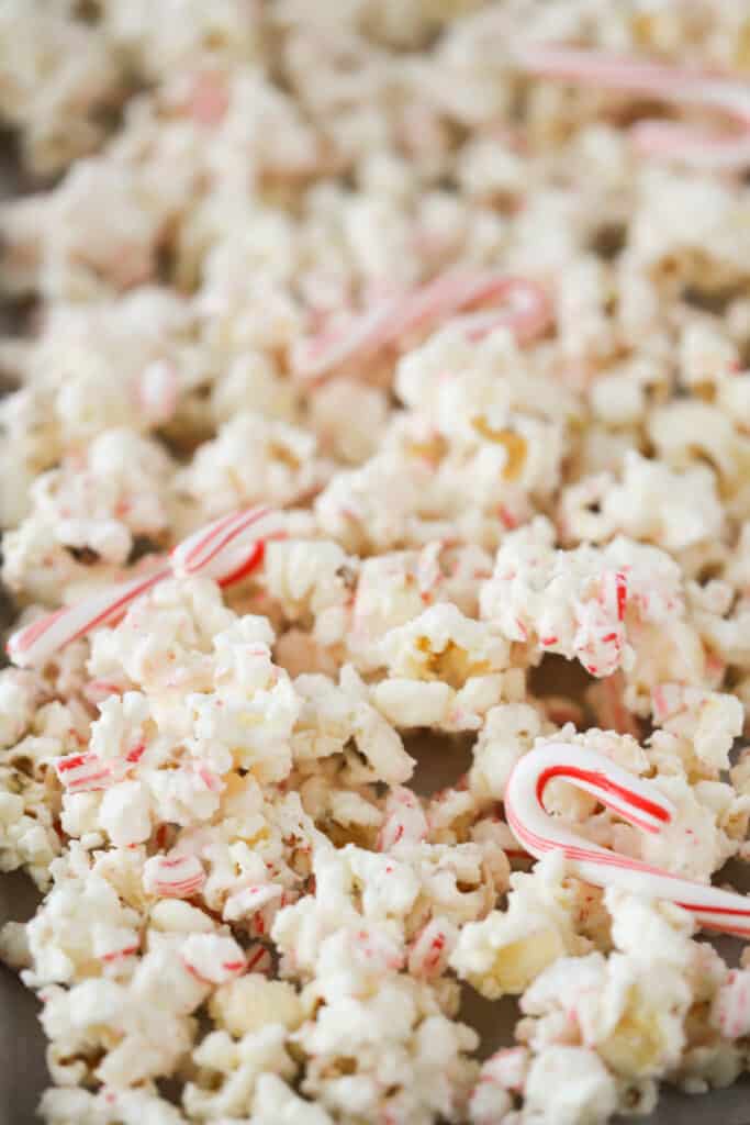 Candy cane popcorn on a baking sheet garnished with mini candy canes. peppermint popcorn, crush candy canes. 