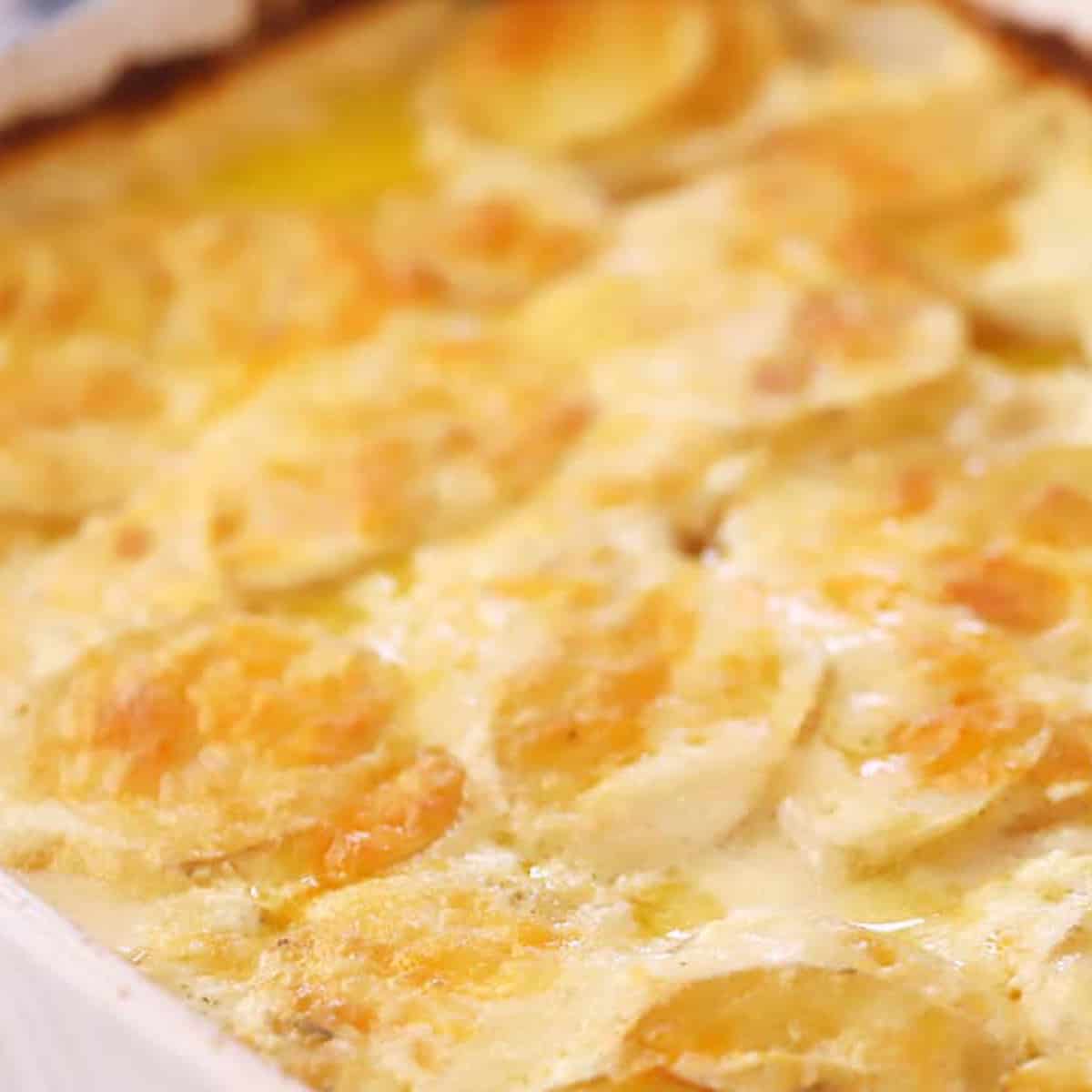 homemade scalloped potatoes in a white baking dish, creamy scalloped potatoes.